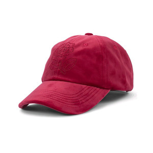 THE HUNDREDS STEELO DAD HAT RED